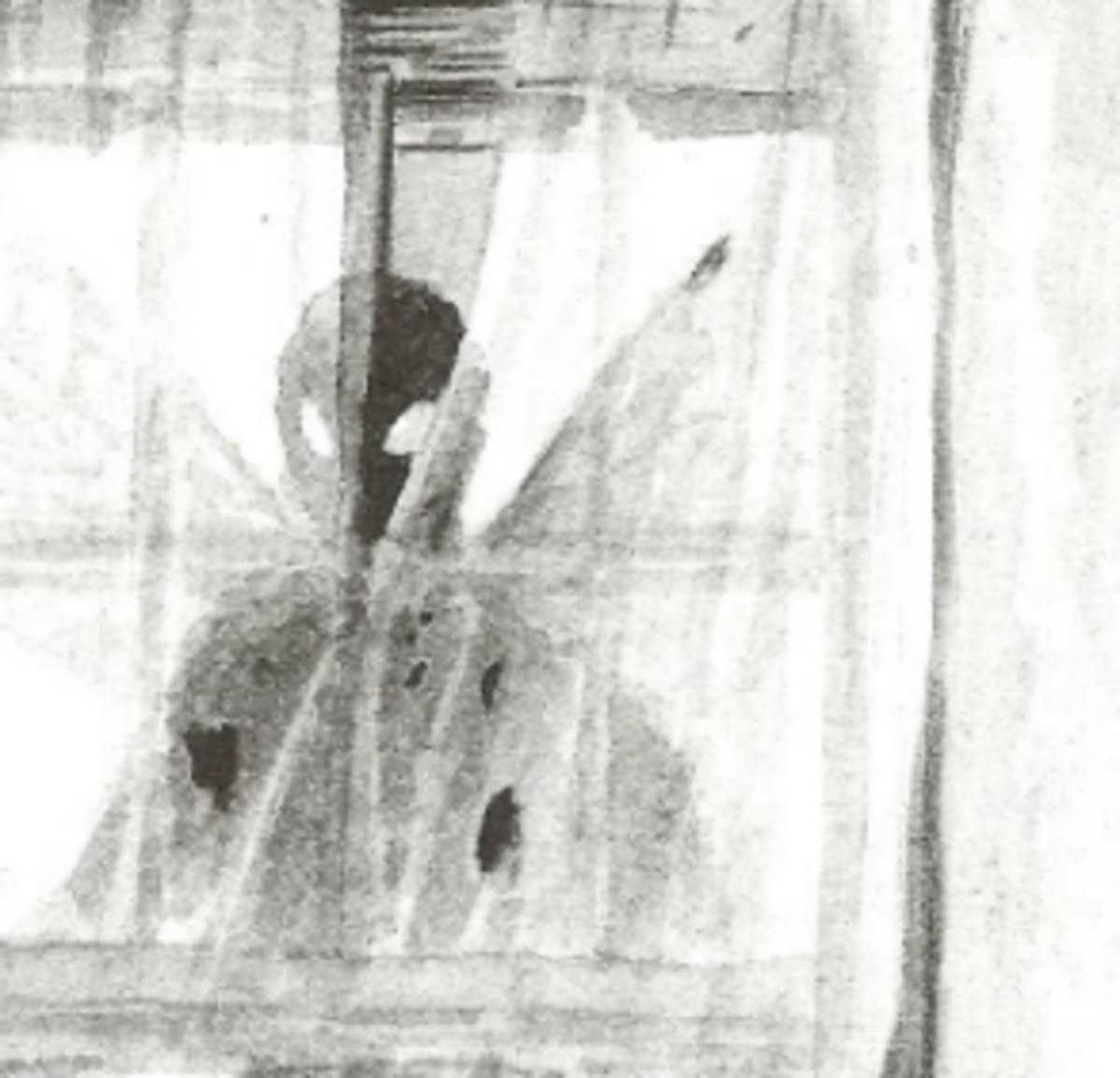 Album cover of Voices
