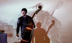 Decorative image of Luke Stewart live